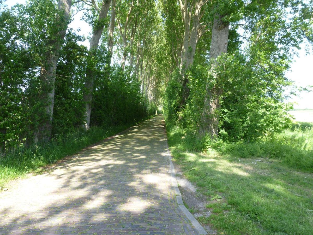 Vakantiewoning Domburg Do31 외부 사진