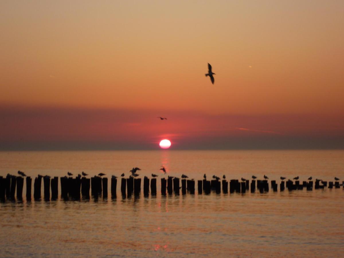 Vakantiewoning Domburg Do31 외부 사진